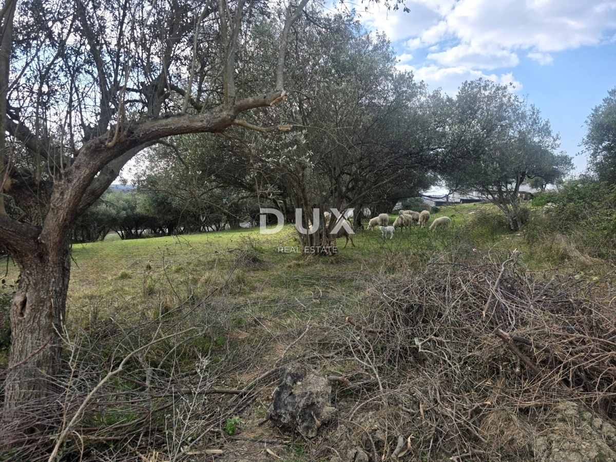 ISTRIA, BUIE - Terreno edificabile con vista panoramica