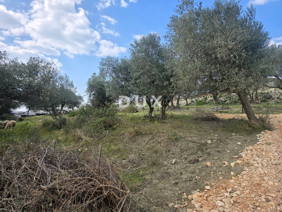 ISTRIA, BUIE - Terreno edificabile con vista panoramica