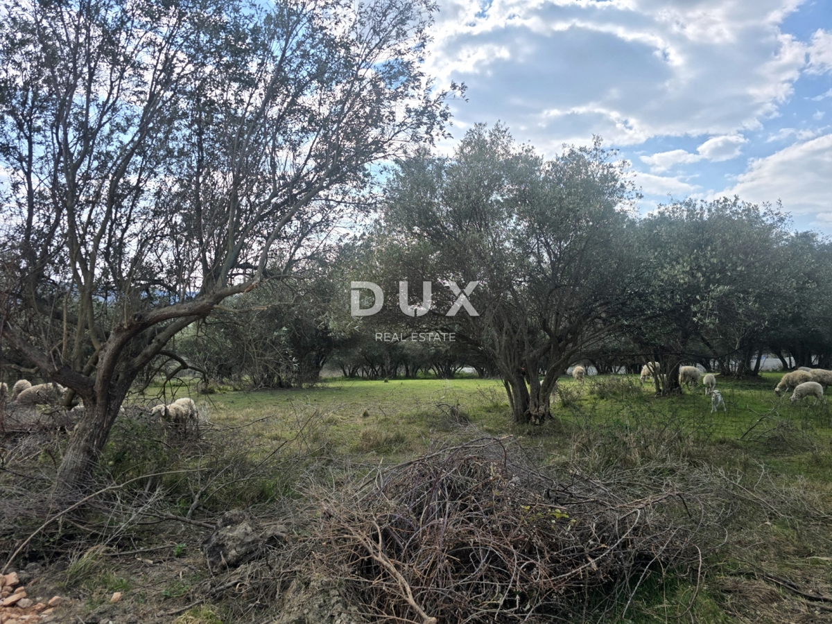 ISTRIA, BUIE - Terreno edificabile con vista panoramica