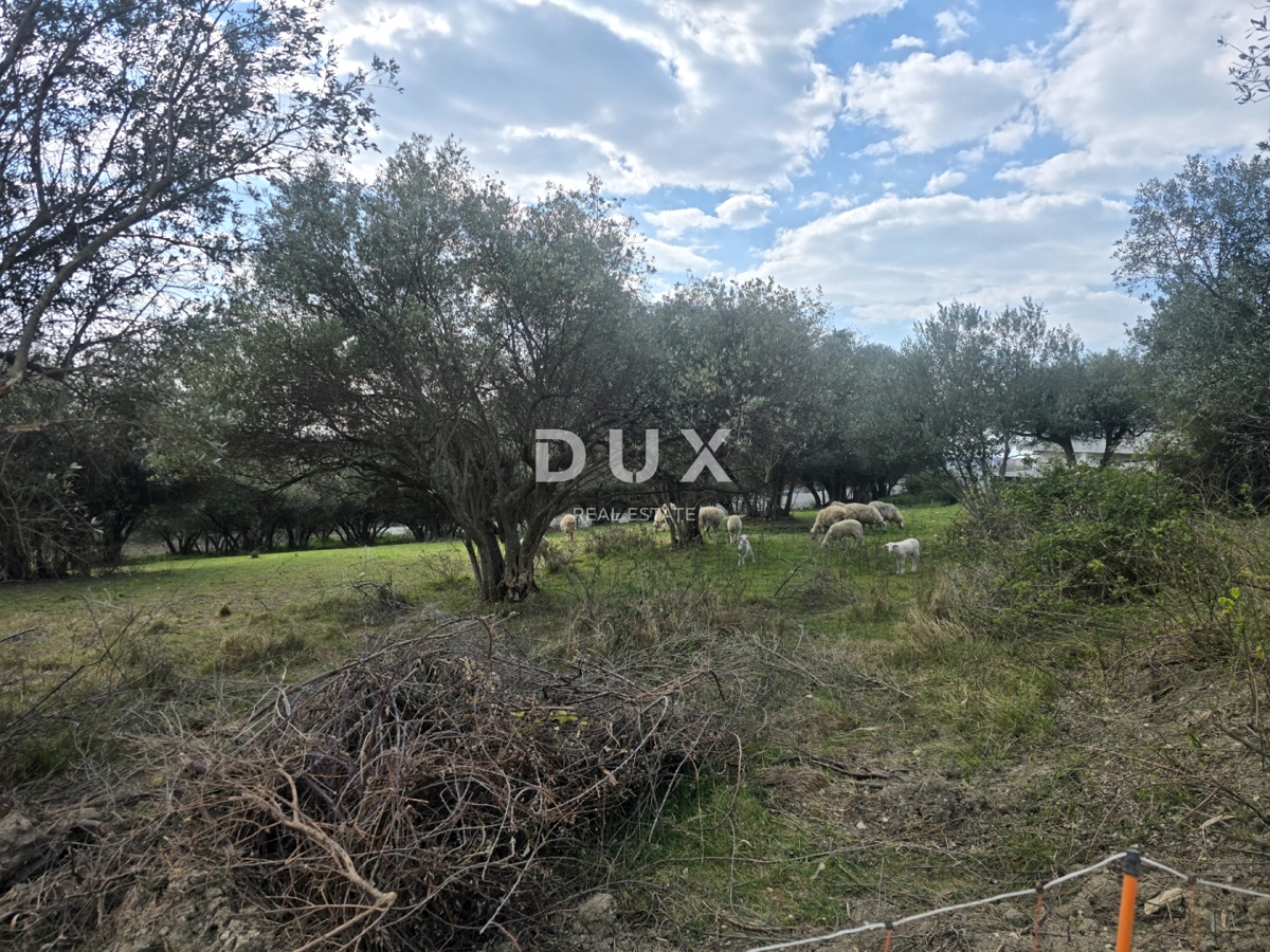 ISTRIA, BUIE - Terreno edificabile con vista panoramica