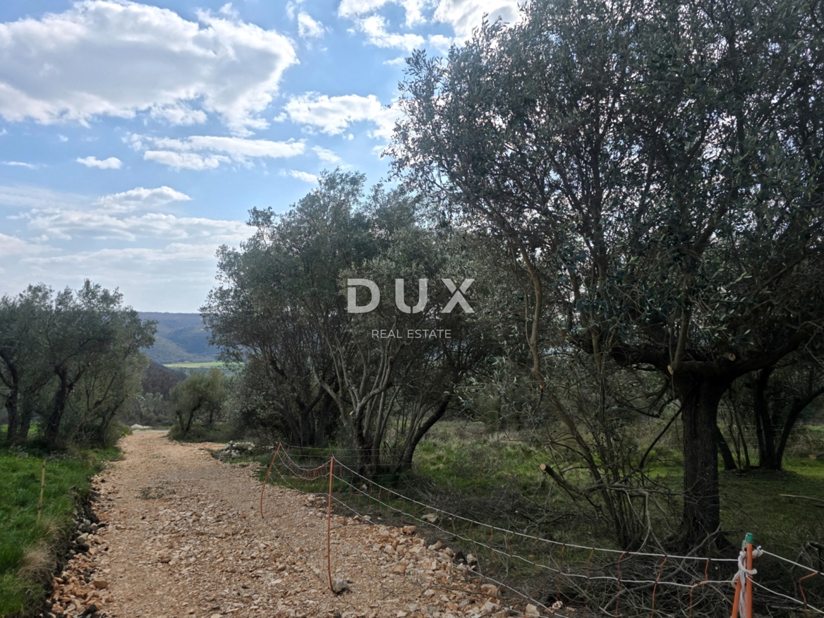 ISTRIA, BUIE - Terreno edificabile con vista panoramica