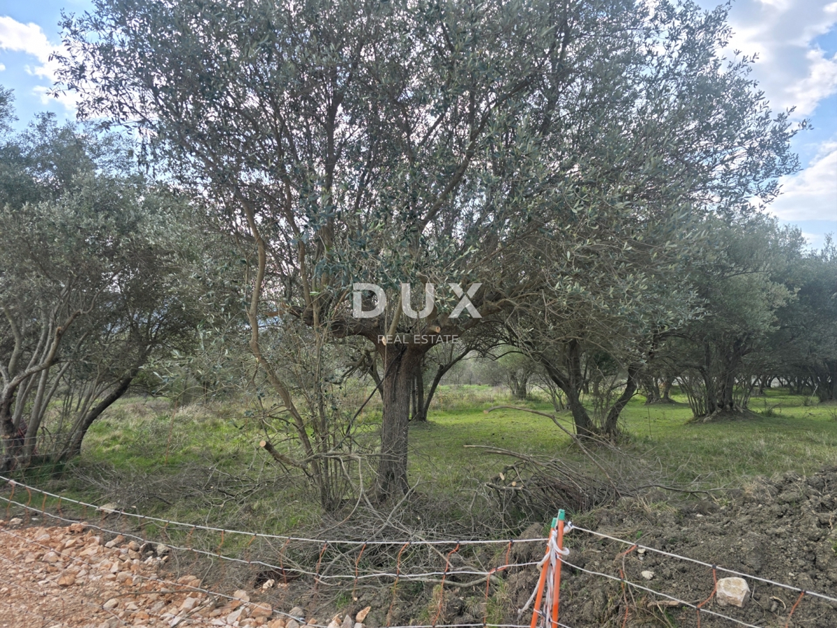 ISTRIA, BUIE - Terreno edificabile con vista panoramica