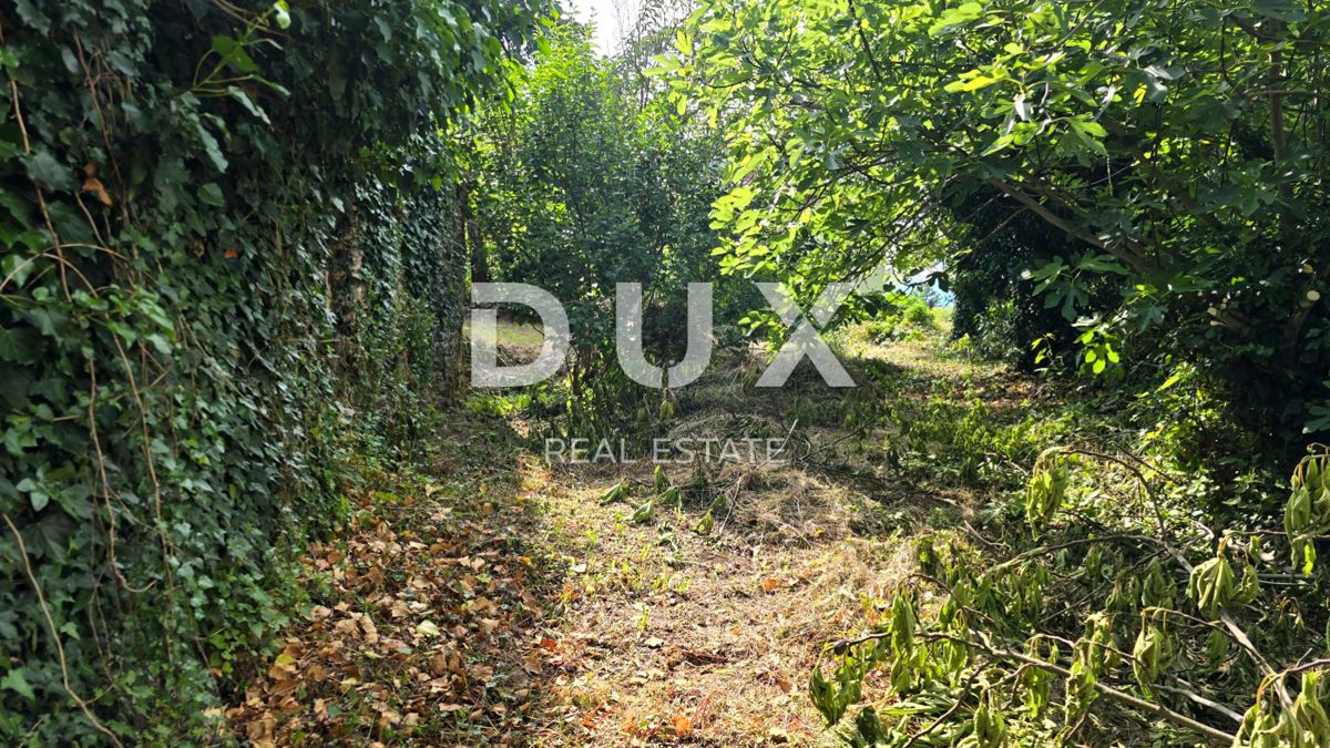 ISTRIA, LABIN - Casa indipendente in pietra