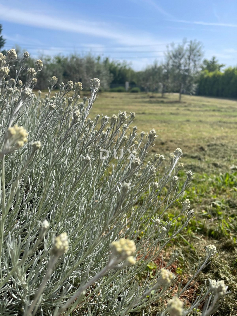 ISTRIA, LOBORIKA - Terreno edificabile con molte potenzialità