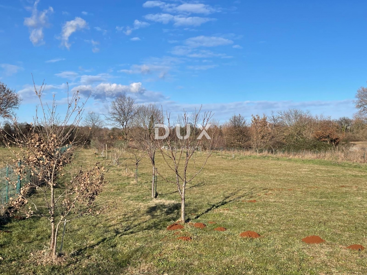 ISTRIA, LOBORIKA - Terreno edificabile con molte potenzialità