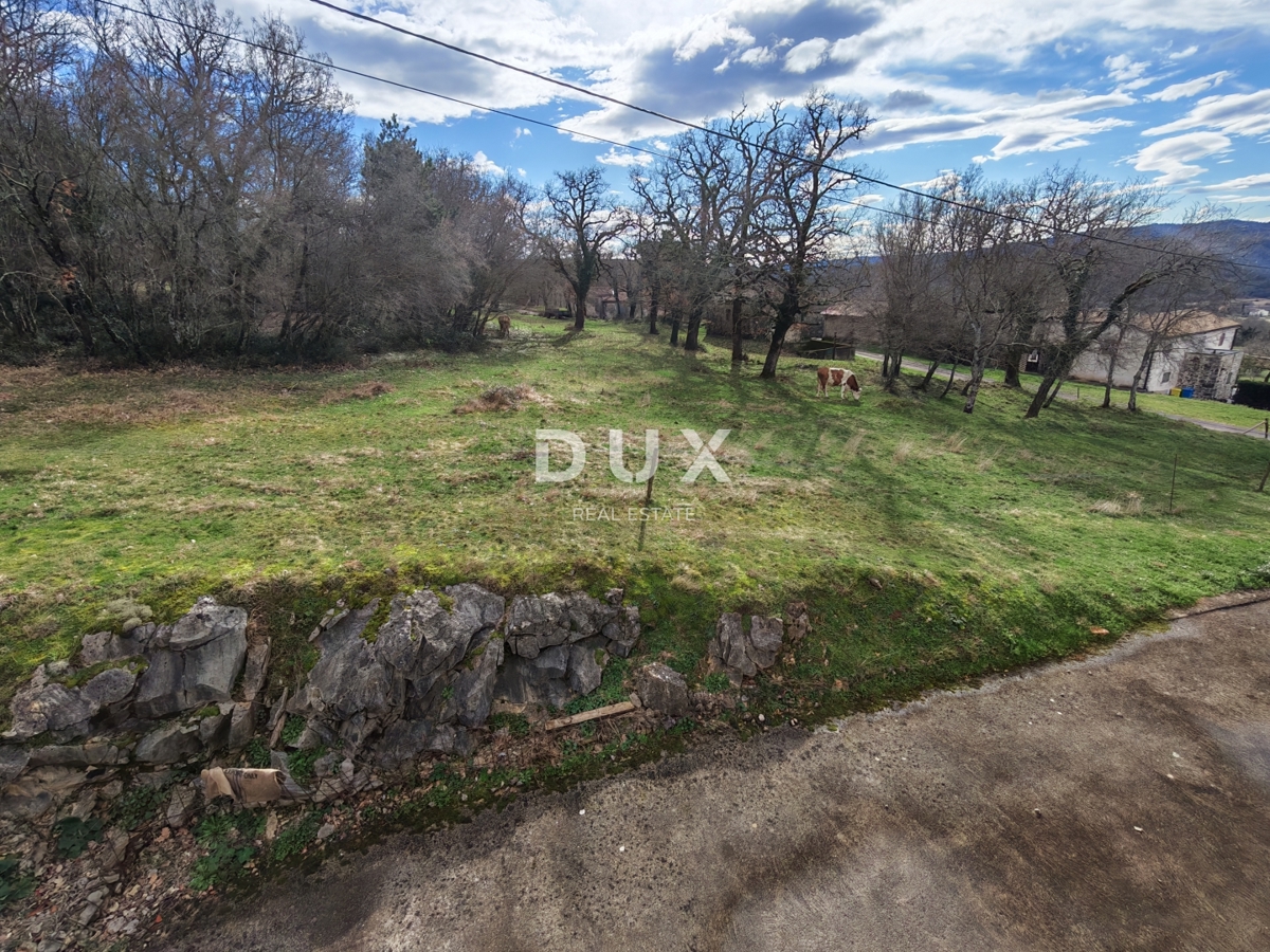 ISTRIA, BOLJUN - Casa con due appartamenti nel cuore dell'Istria