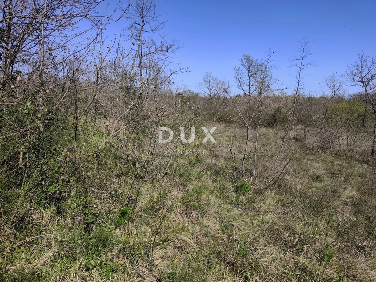 ISTRIA, MARČANA - Terreno in una zona tranquilla con permesso di costruzione