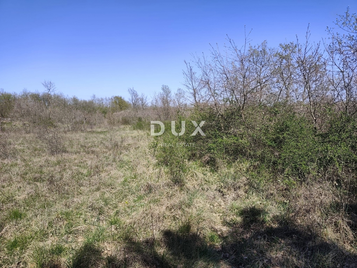 ISTRIA, MARČANA - Terreno in una zona tranquilla con permesso di costruzione