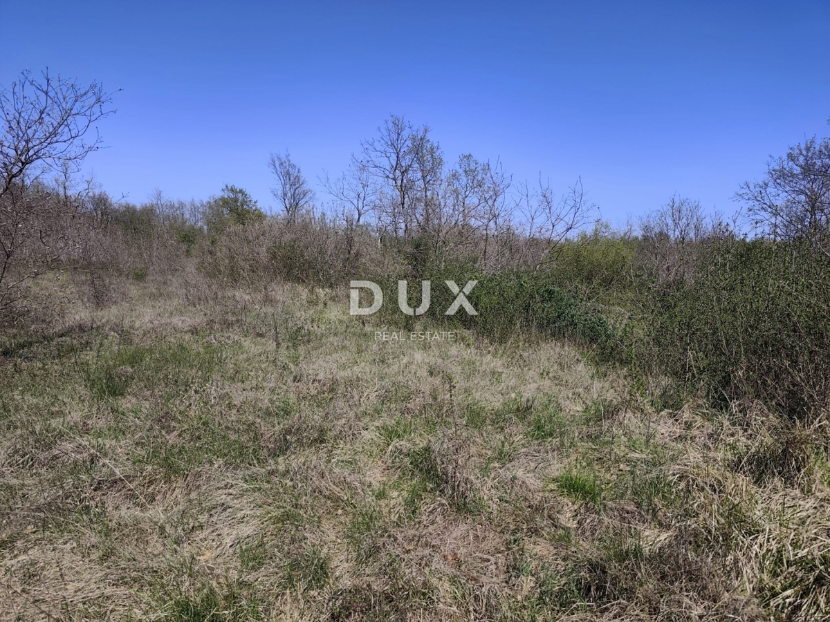 ISTRIA, MARČANA - Terreno in una zona tranquilla con permesso di costruzione