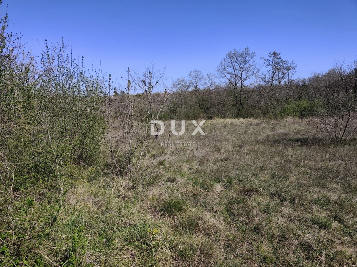 ISTRIA, MARČANA - Terreno in una zona tranquilla con permesso di costruzione