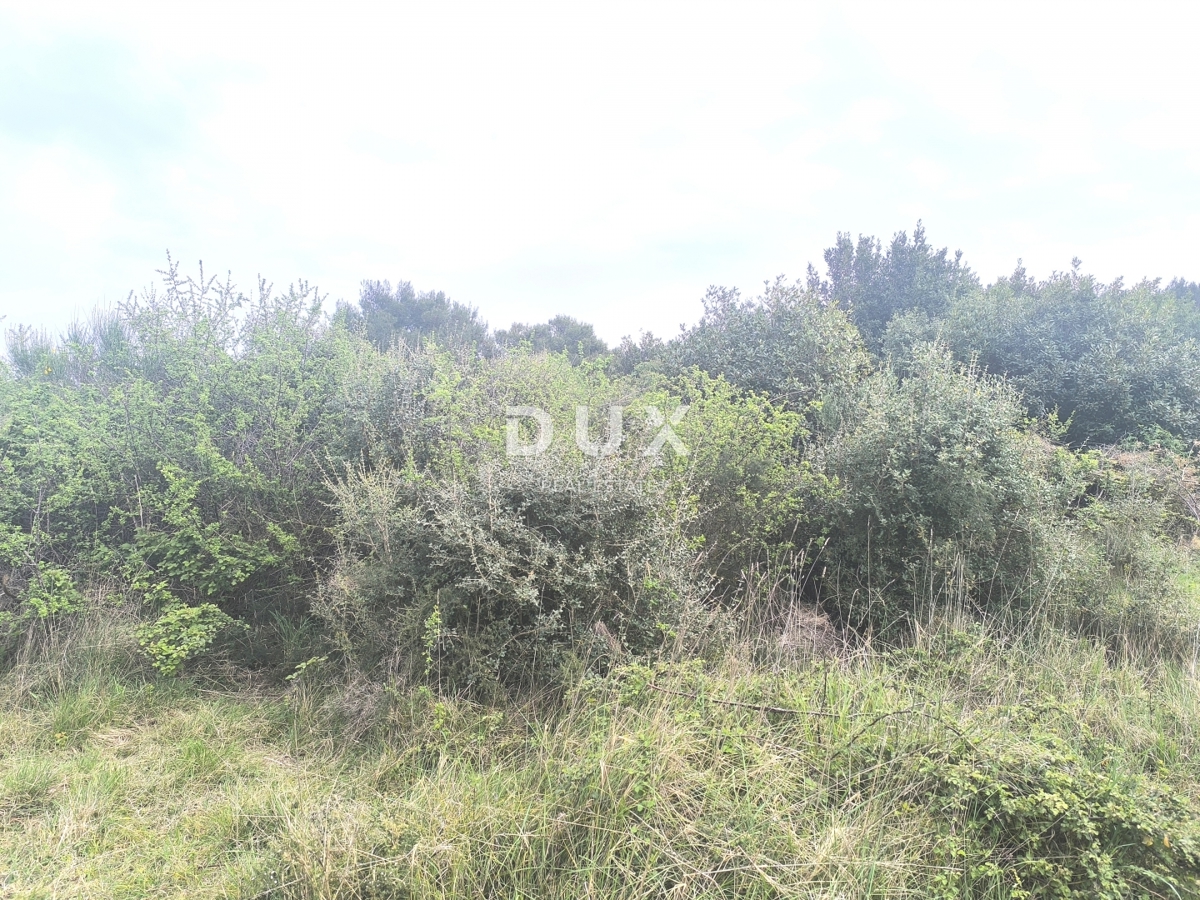 ISTRIA, PREMANTURA - Terreno per weekend, Capo Kamenjak, a 150 m dalla spiaggia