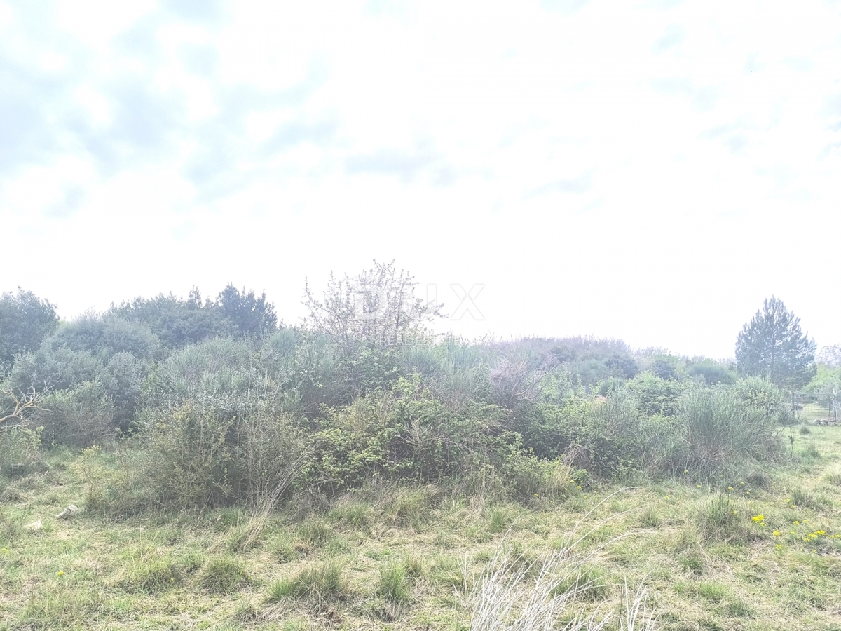 ISTRIA, PREMANTURA - Terreno per weekend, Capo Kamenjak, a 150 m dalla spiaggia