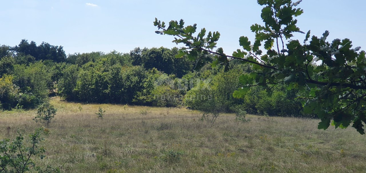 Terreno Šumber, Sveta Nedelja, 7.377m2