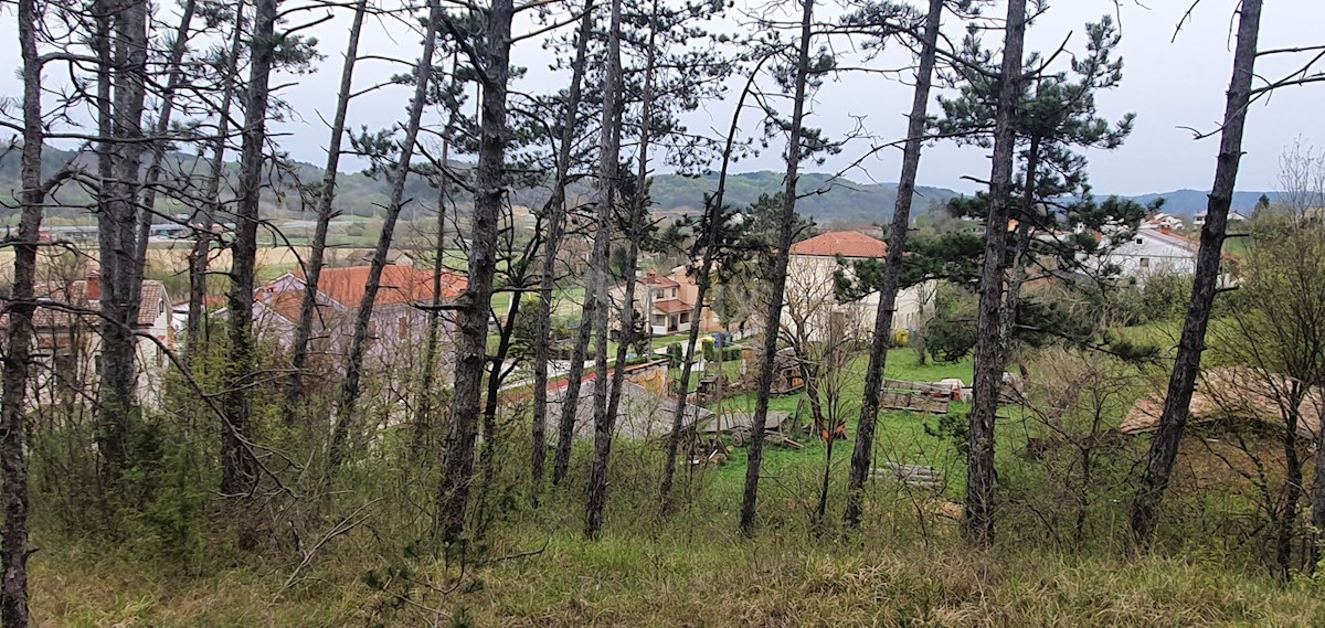 Terreno Cerovlje, 9.300m2