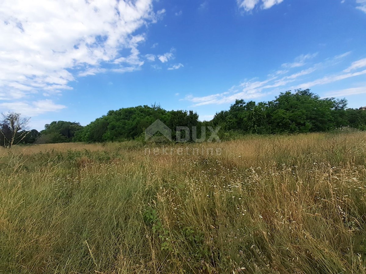 Terreno Savudrija, Umag, 11.677m2