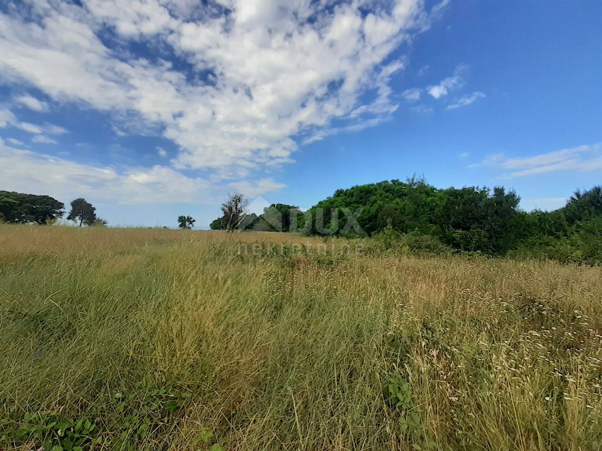 Terreno Savudrija, Umag, 11.677m2