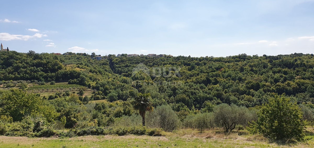 ISTRIA, MOMJAN - Bella villa con piscina e vista panoramica sulla natura e sul mare