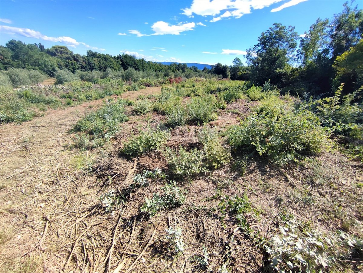 Terreno Peruški, Marčana, 2.118m2