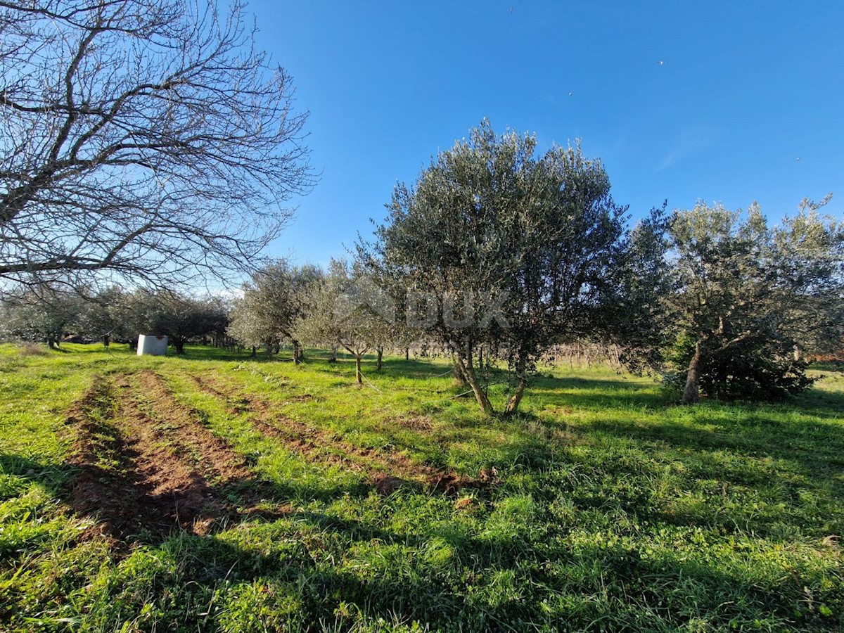 Casa Rovinj, 50m2