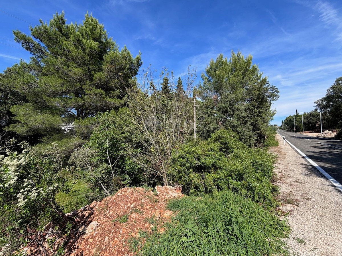 Terreno Ždrelac, Pašman, 546m2