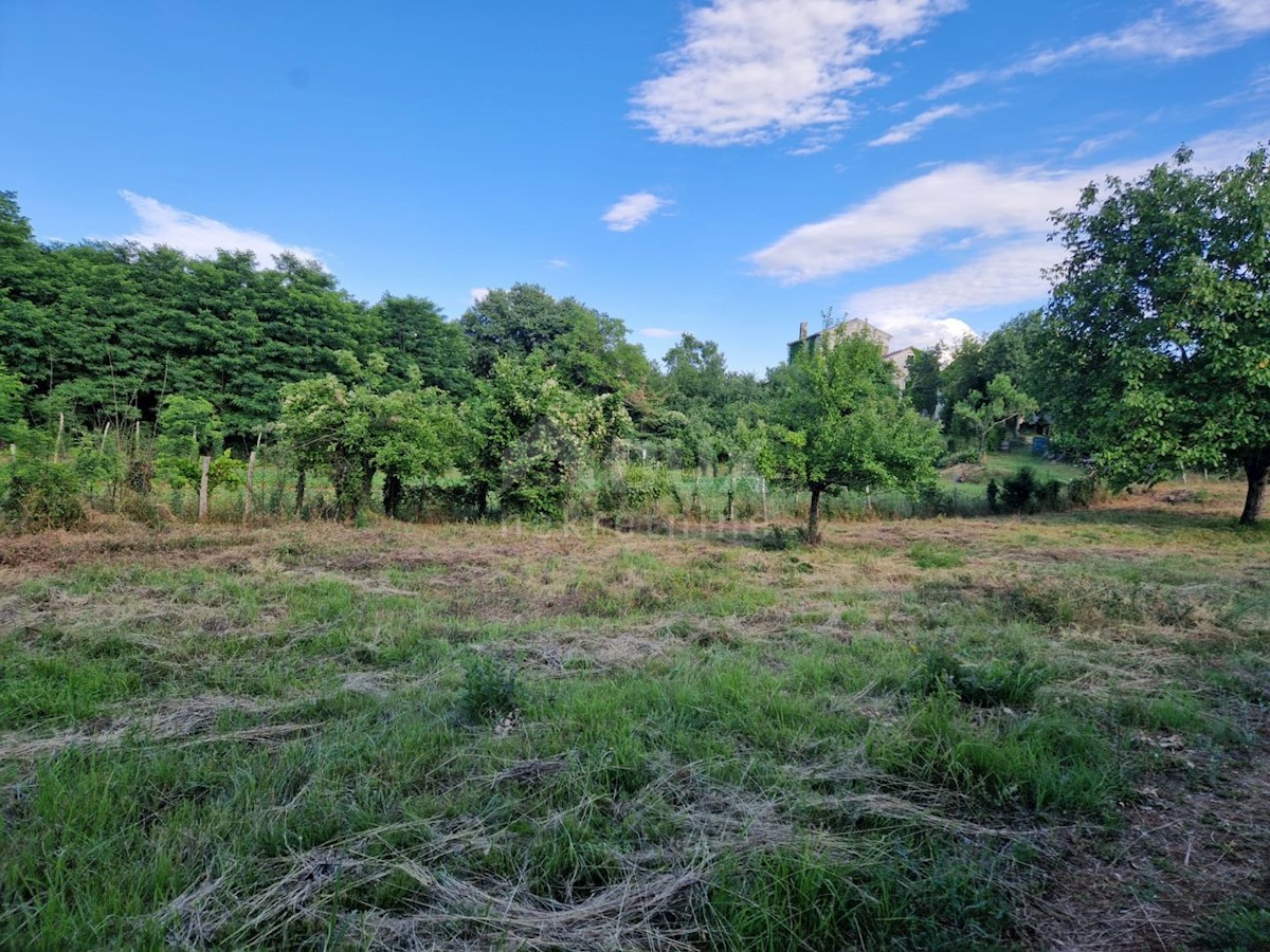 Terreno Završje, Grožnjan, 1.730m2