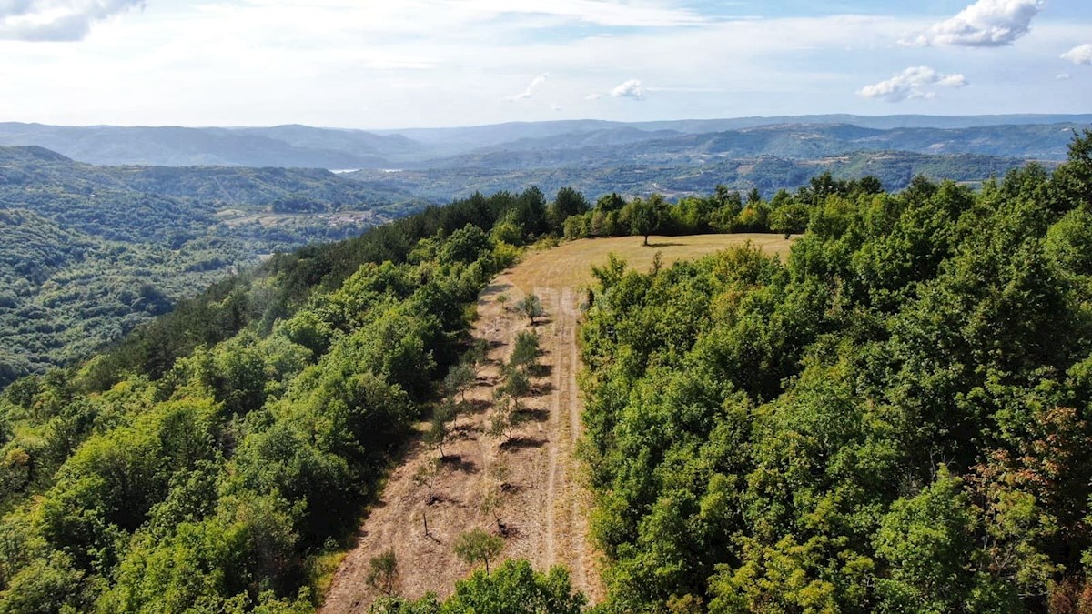 Terreno Draguć, Cerovlje, 40.777m2