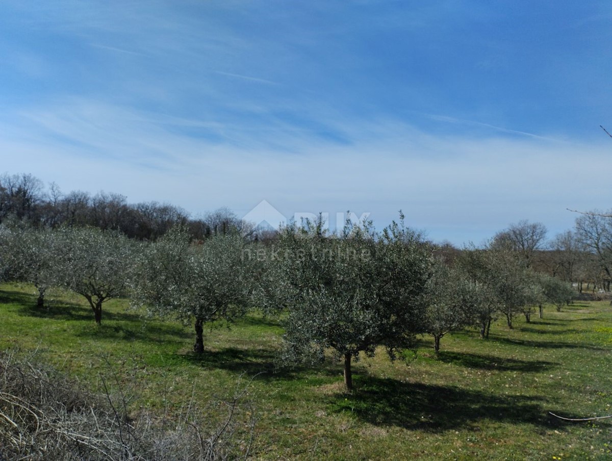 Terreno Poreč, 6.419m2