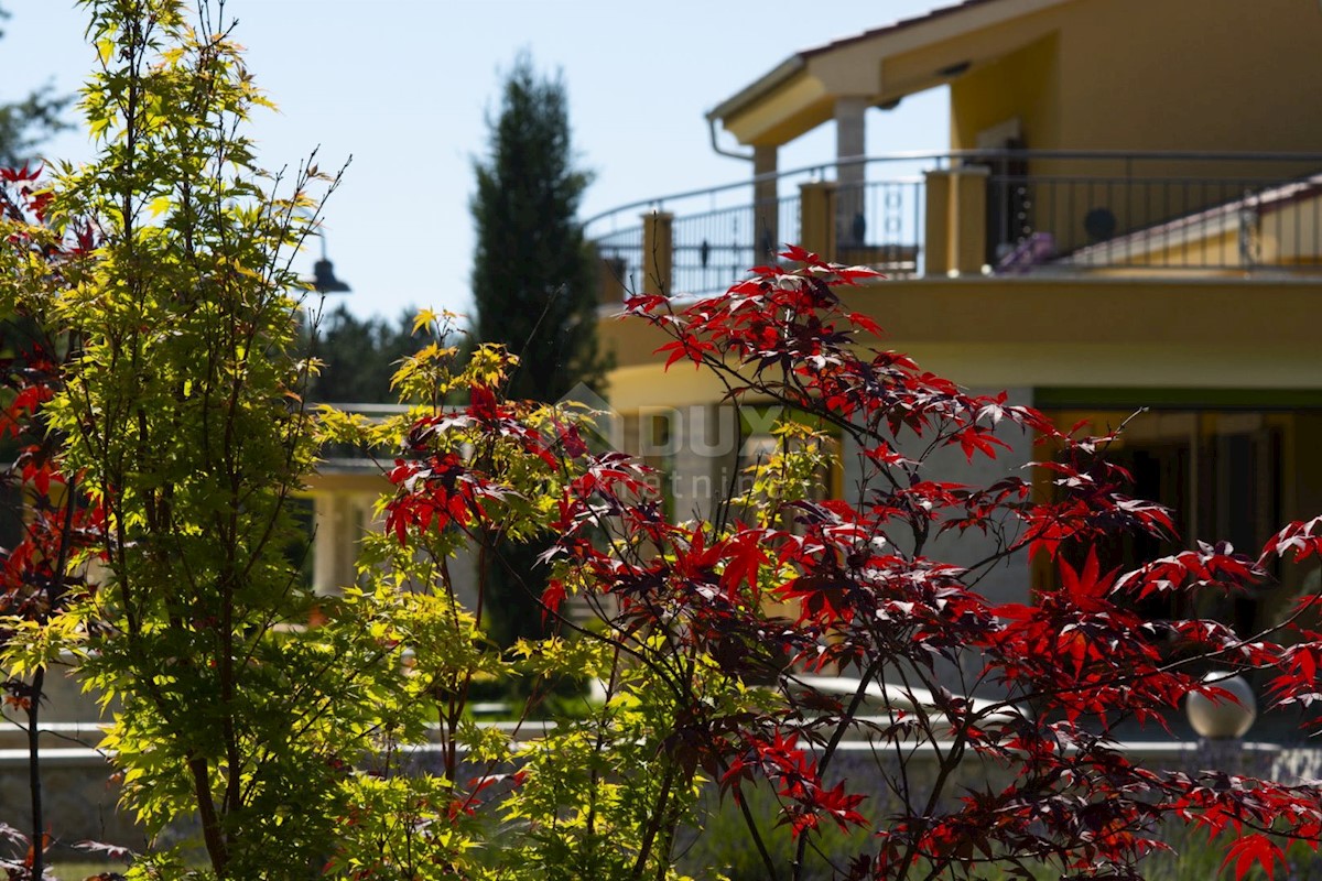 ISTRIA - Proprietà esclusiva, villa, ampio giardino con servizi aggiuntivi