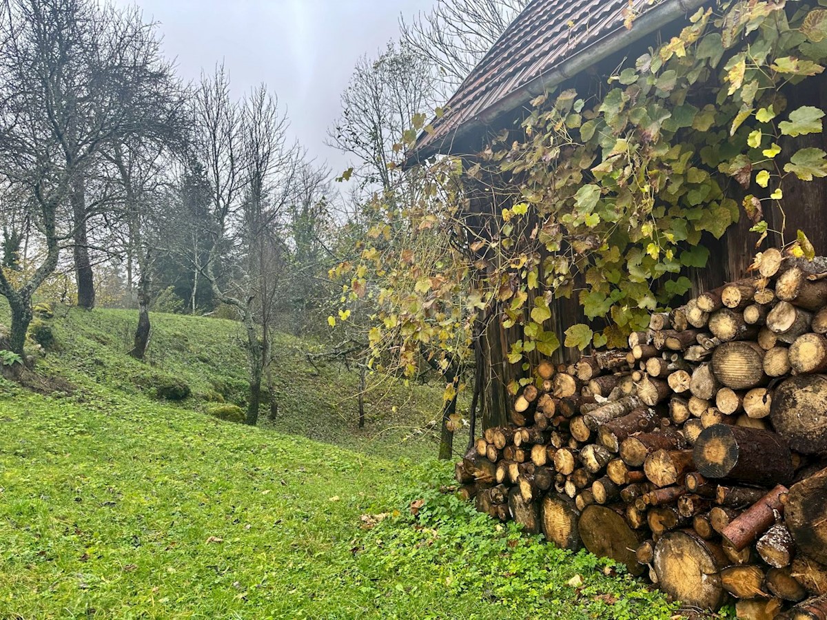 Casa Tomići, Vrbovsko, 140m2