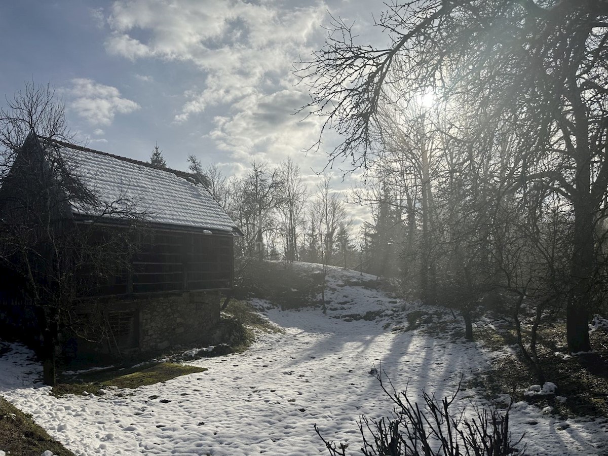 Casa Tomići, Vrbovsko, 140m2