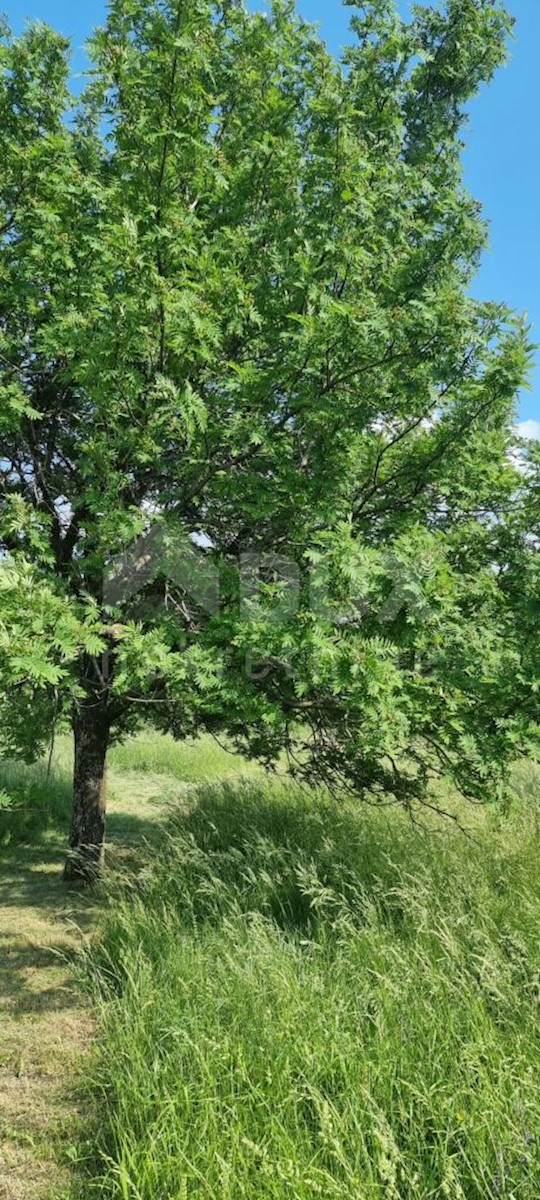 Terreno Novi Vinodolski, 505m2