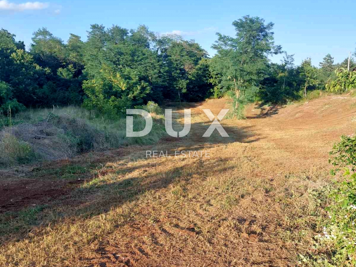 ISTRIA, ALBONA - Ampio terreno edificabile