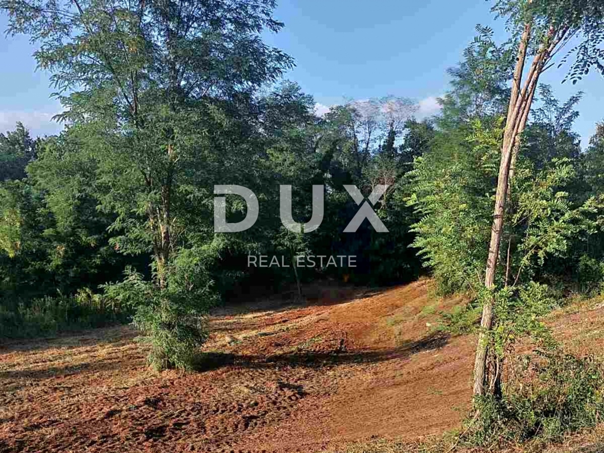 ISTRIA, ALBONA - Ampio terreno edificabile