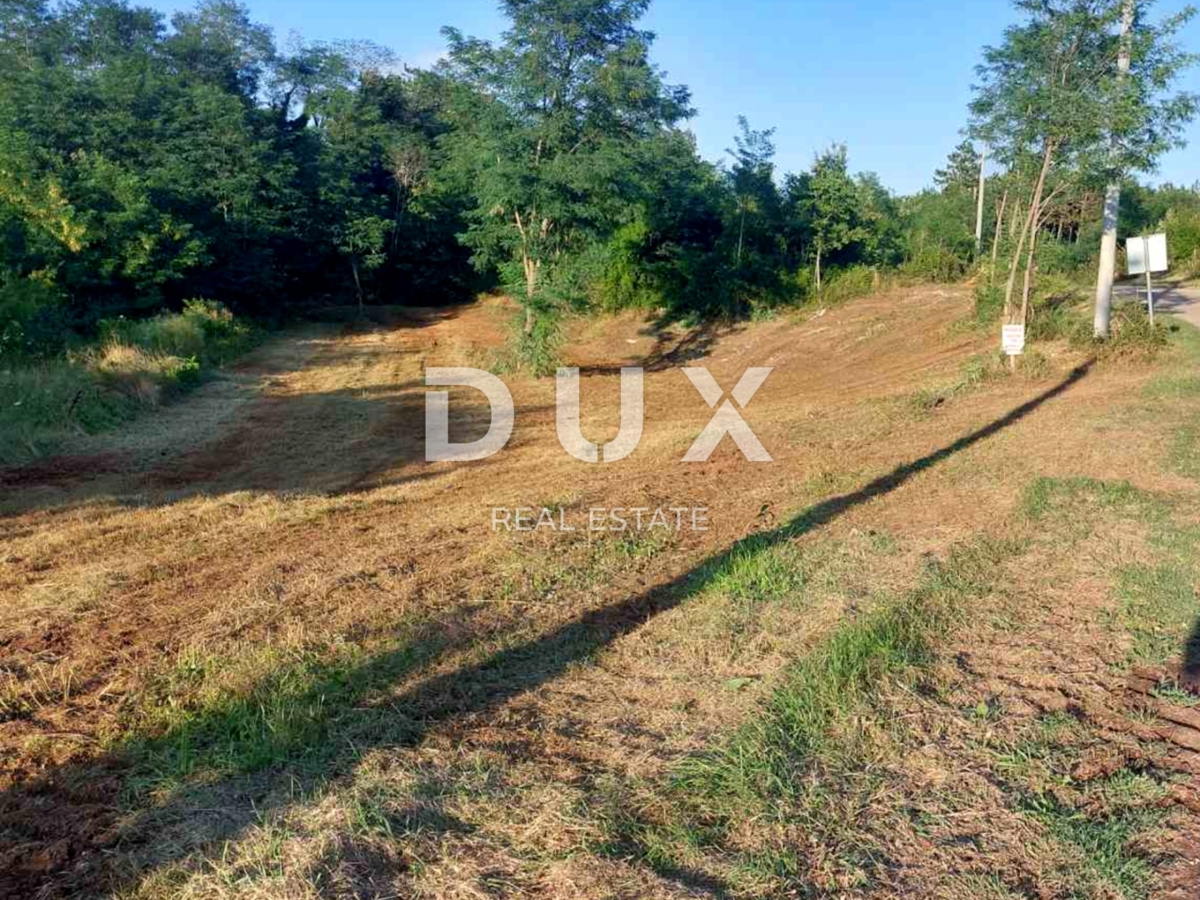 ISTRIA, ALBONA - Ampio terreno edificabile