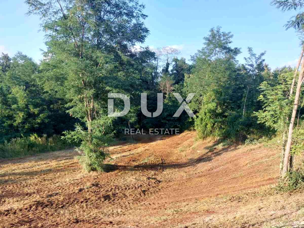 ISTRIA, ALBONA - Ampio terreno edificabile