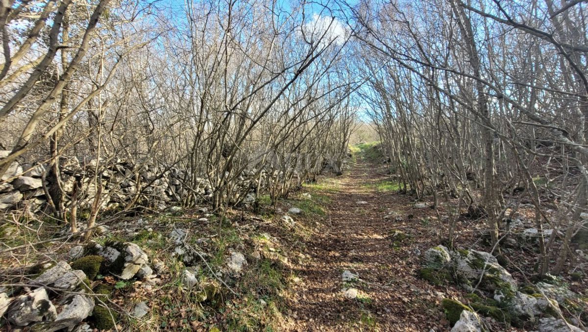 ISOLA DI KRK, KRK - Terreno pianeggiante ricco di bosco con accesso, ideale per OPG, 3000 m dal mare!