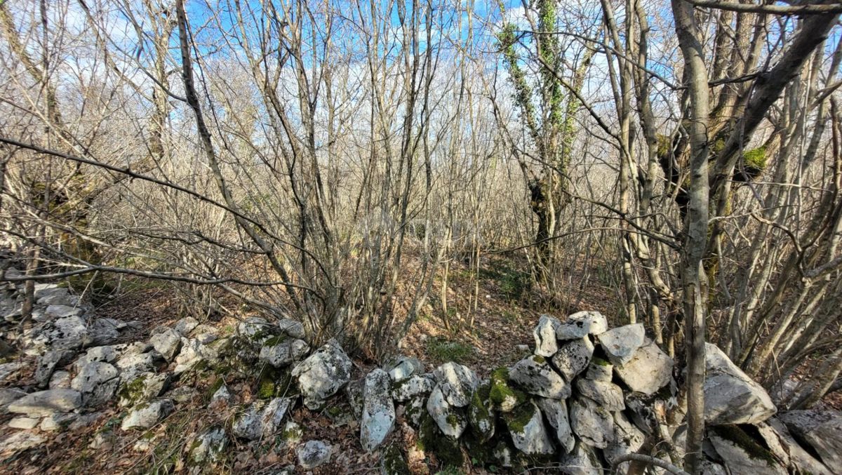 ISOLA DI KRK, KRK - Terreno pianeggiante ricco di bosco con accesso, ideale per OPG, 3000 m dal mare!