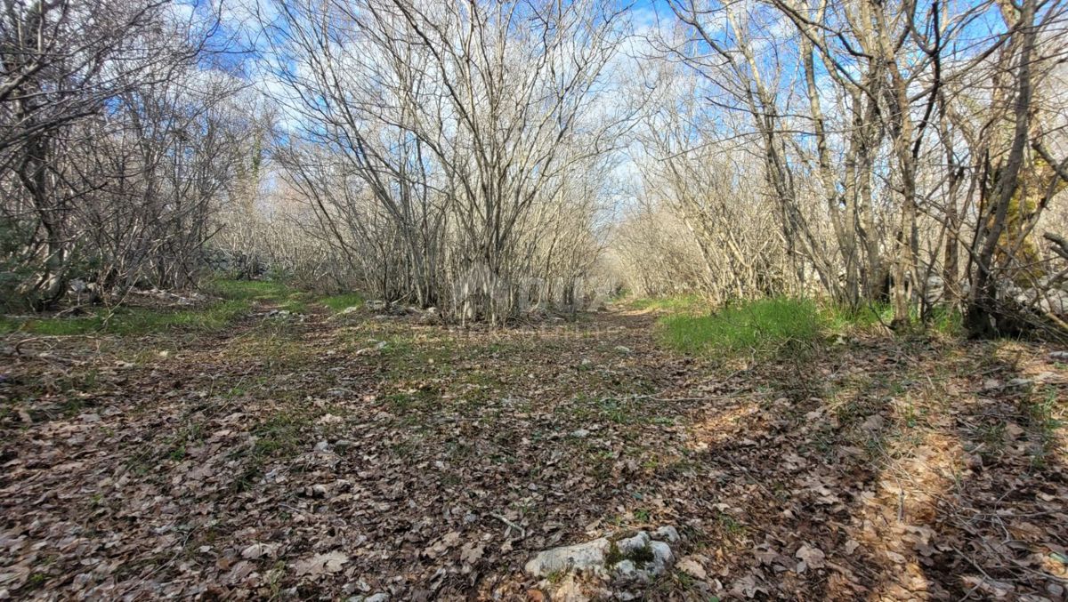 ISOLA DI KRK, KRK - Terreno pianeggiante ricco di bosco con accesso, ideale per OPG, 3000 m dal mare!