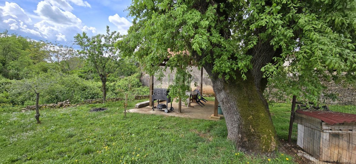 ISTRIA, PARENZO - Casa istriana ristrutturata con giardino