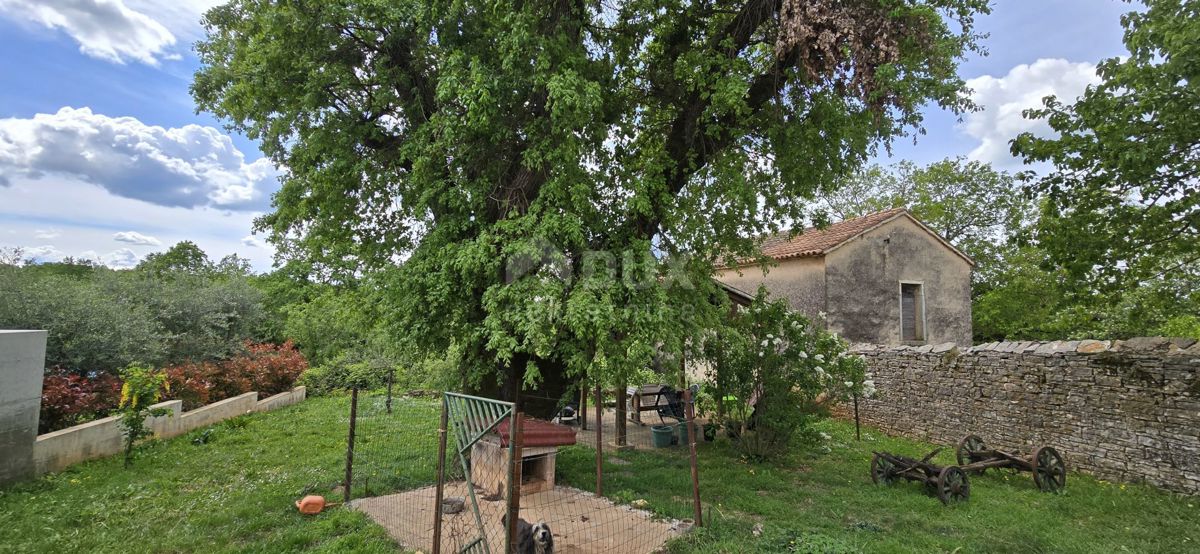 ISTRIA, PARENZO - Casa istriana ristrutturata con giardino