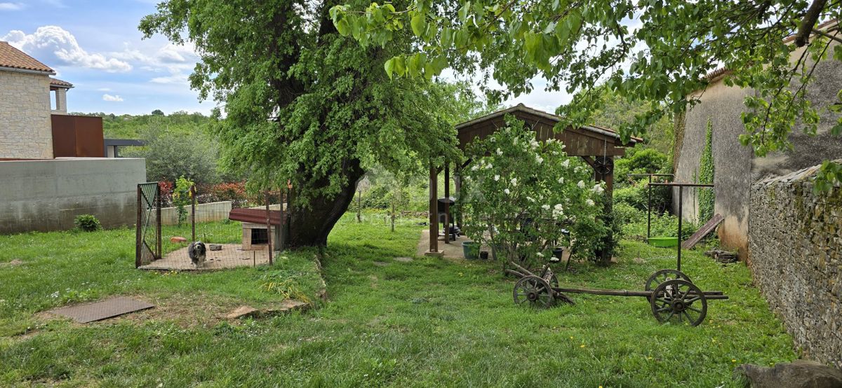 ISTRIA, PARENZO - Casa istriana ristrutturata con giardino