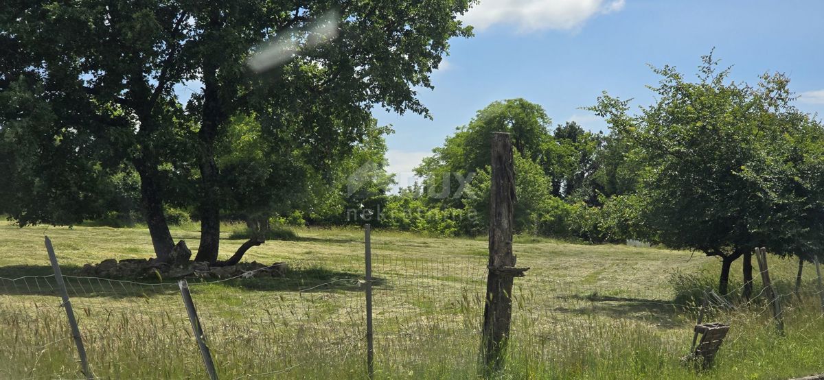 Terreno Žminj, 1.000m2