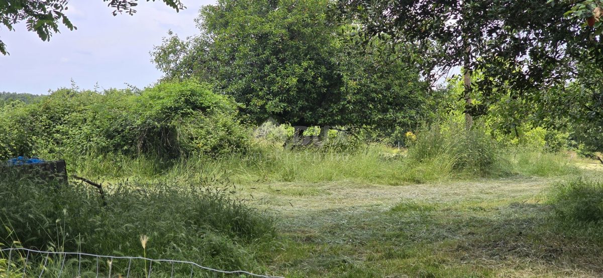 Terreno Žminj, 1.000m2