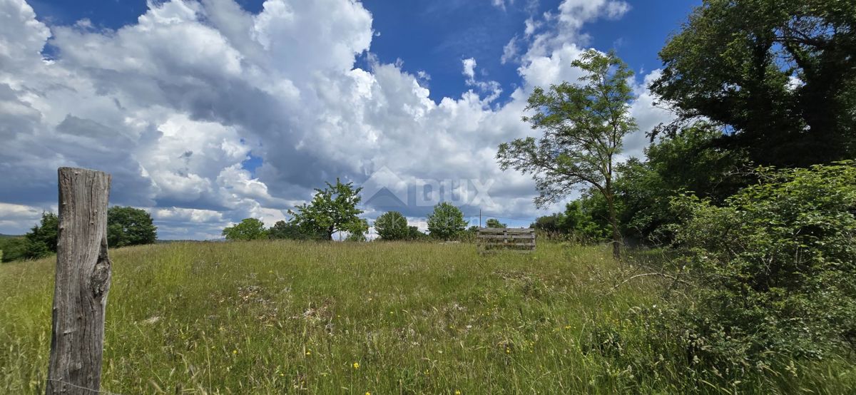 Terreno Žminj, 1.000m2