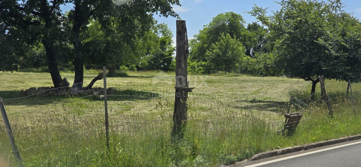 Terreno Žminj, 1.000m2