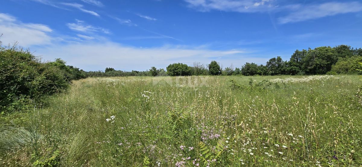 Terreno Svetvinčenat, 1.152m2