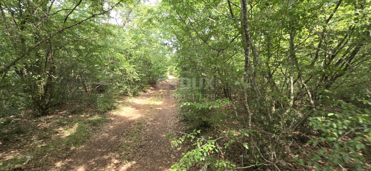 Terreno Vodnjan, 20.330m2