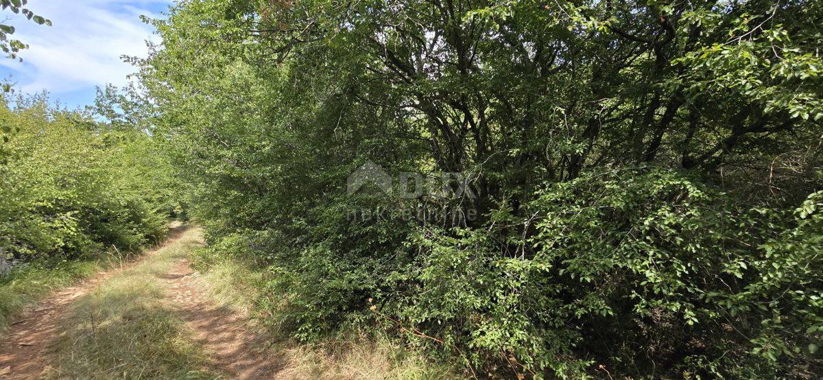 Terreno Vodnjan, 20.330m2