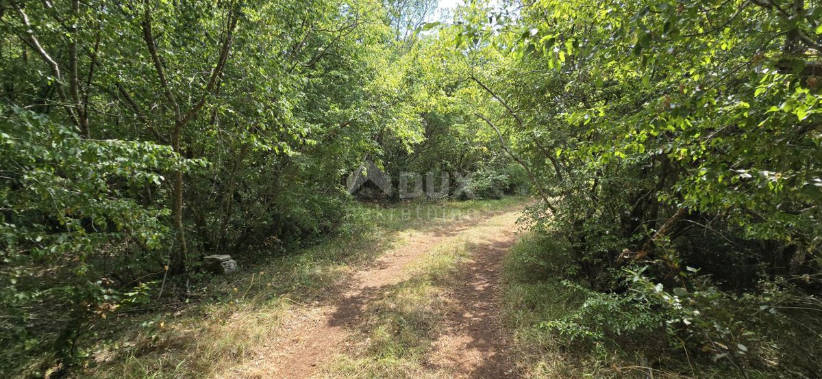 Terreno Vodnjan, 20.330m2