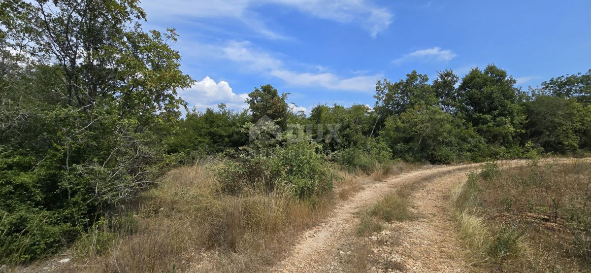 Terreno Vodnjan, 20.330m2